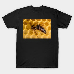 Queen Bee 2 T-Shirt